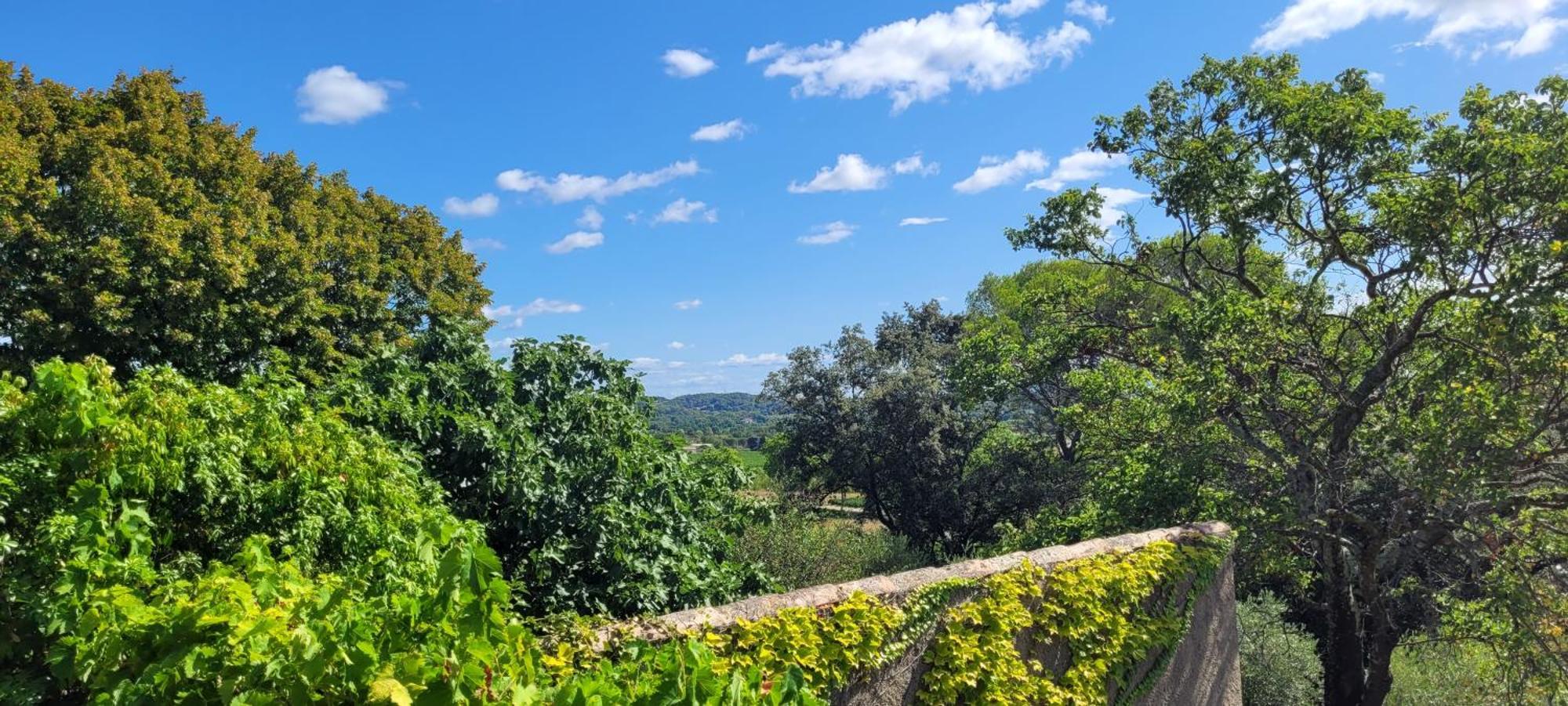 Le Domaine Du Soulier -Gite Et Chambres D'Hotes - La Maison Du Gardien Tornac Dış mekan fotoğraf