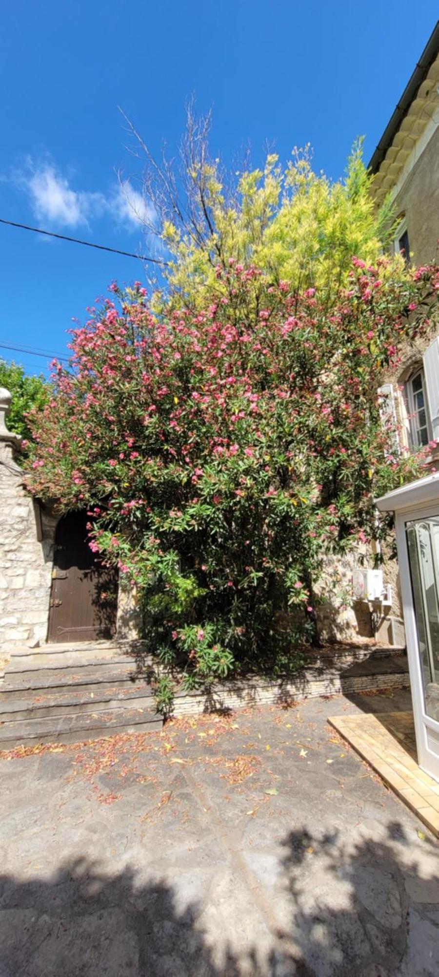 Le Domaine Du Soulier -Gite Et Chambres D'Hotes - La Maison Du Gardien Tornac Dış mekan fotoğraf