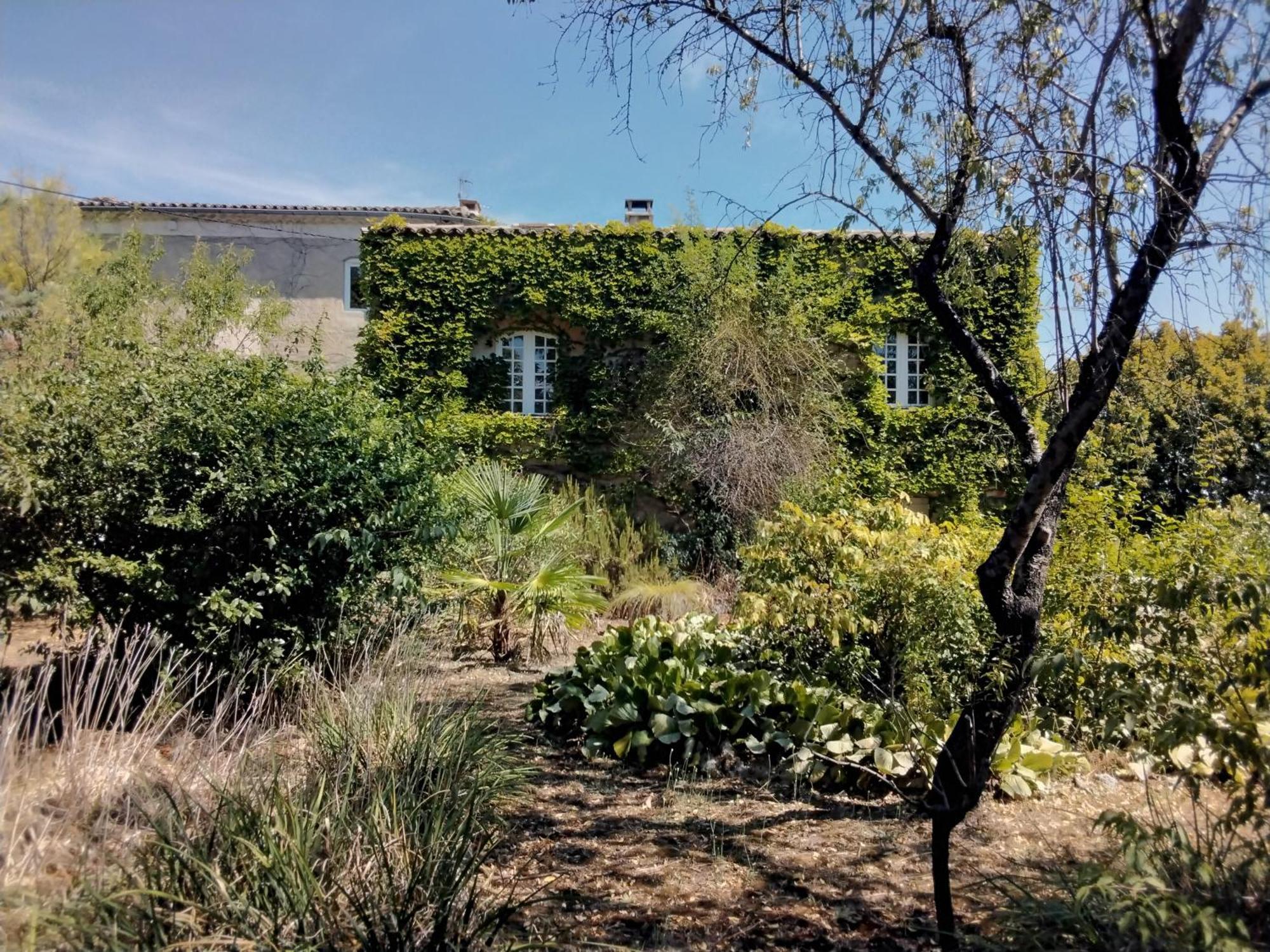 Le Domaine Du Soulier -Gite Et Chambres D'Hotes - La Maison Du Gardien Tornac Dış mekan fotoğraf